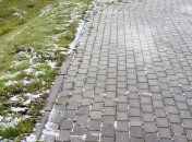 Сорняки и мох между плитками уродуют ваш участок