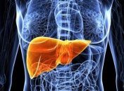 ТОП-5 признаков того, что нужно "почистить" печень