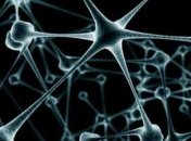 Ученые выявили уникальный механизм антибактериального иммунитета