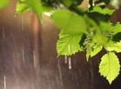 Погода в Украине 14 августа: холодно, дождь 