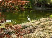 Какой праздник 17 апреля: народные приметы и запреты