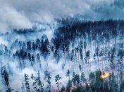 3 мільйони гектарів Російського Сибіру знову горять