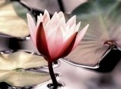 День Святого Мануила: народные приметы и запреты 30 июня