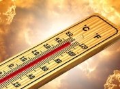 Побьет все рекорды: 2020 год может стать самым жарким