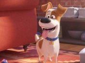 Вышел новый трейлер анимационной комедии "Секреты домашних животных-2"