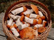 Как их правильно высушить