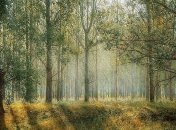 В селе Каменка женщина с дочерью заблудились в лесу