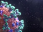 COVID-19 в Украине: Количество зараженных возросло до 418