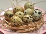 Полезные свойства перепелиных яиц для организма