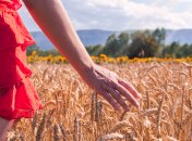 Какой сегодня праздник - День святой Федосьи Колосяницы