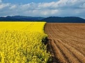 Украина продлила земельный мораторий