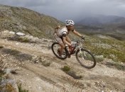 Aдреналин стоит дорого