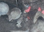 Археологи обнаружили сенсационную находку