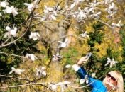 В Украину идет новое похолодание 