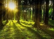 Какой праздник 28 марта: народные приметы и запреты