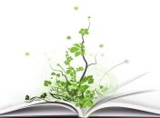 В Крыму прошли олимпиады по крымскотатарскому и украинскому языкам