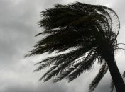 На юге США бушует сильный шторм: есть жертвы 