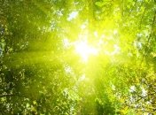 Прогноз погоды на 20 мая: ожидается потепление до +28 градусов