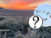 Похолодання