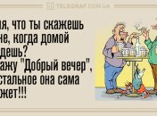 Проснись и улыбнись: утренние анекдоты 17 декабря