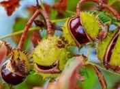 Прогноз погоды на 18 сентября: в Украине будет тепло и сухо