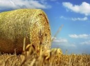 Приметы и обряды на 13 октября - Григорьев день, Григорий Соломенный, Соломенник