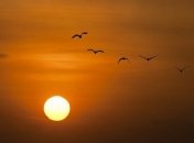 День літнього сонцестояння 2021: астролог зробила попередження для чотирьох знаків зодіаку