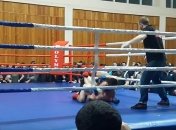 Бой ММА завершился массовой дракой с участием зрителей