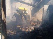 Пожар в Кировоградской области: спасатели обнаружили тела трех детей