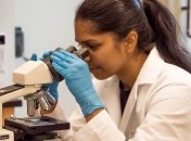 У ВООЗ не має гарантій, що створять ефективну вакцину проти COVID-19