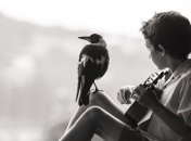 Сорока стала другом семьи, которая спасла ей жизнь (Фото)