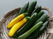 Как сушить кабачки на зиму: 3 проверенных метода