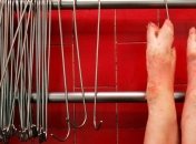 Импорт свинины из Германии в Украину может сократиться