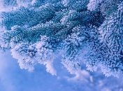 На старый новый год в Украине ожидается до 19 градусов мороза