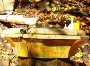 "Святая вода" признана опасной для употребления