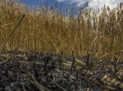 МИД Украины заявило о сознательном срыве Россией "хлебного перемирия"