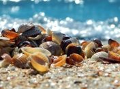 Прогноз погоды на 2 сентября в Украине: синоптики прогнозируют жару до +35°