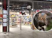 Кот в магазине