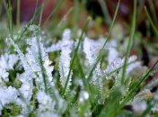 Заморозки на грунте возможны при плюсовой температуре воздуха.