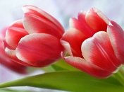 Выходные в марте 2020: сколько будут отдыхать и работать украинцы