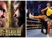 Уайлдер и Фьюри об Усике