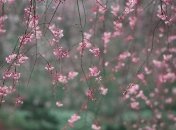 Праздник 16 марта: что категорически нельзя делать в этот день