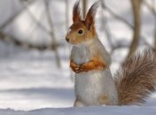 Завтра в Украине будет сухо и холодно