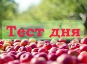 Пройдите тест и узнайте, какая черта доминирует в Вашем характере