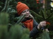 В Симферополе продают Ивано-Франковские елки