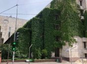 Таким киевляне помнят здание Цветы Украины