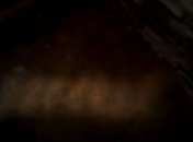 Загадочное существо не дает покоя владельцу гаража (Видео) 