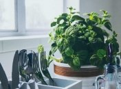 Что держать на кухне, чтобы привлечь деньги в дом