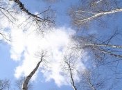 Прогноз погоды в Украине на 10 января: ожидается мороз без осадков