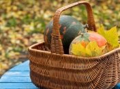 Не теряем время: чем заняться огороднику поздней осенью